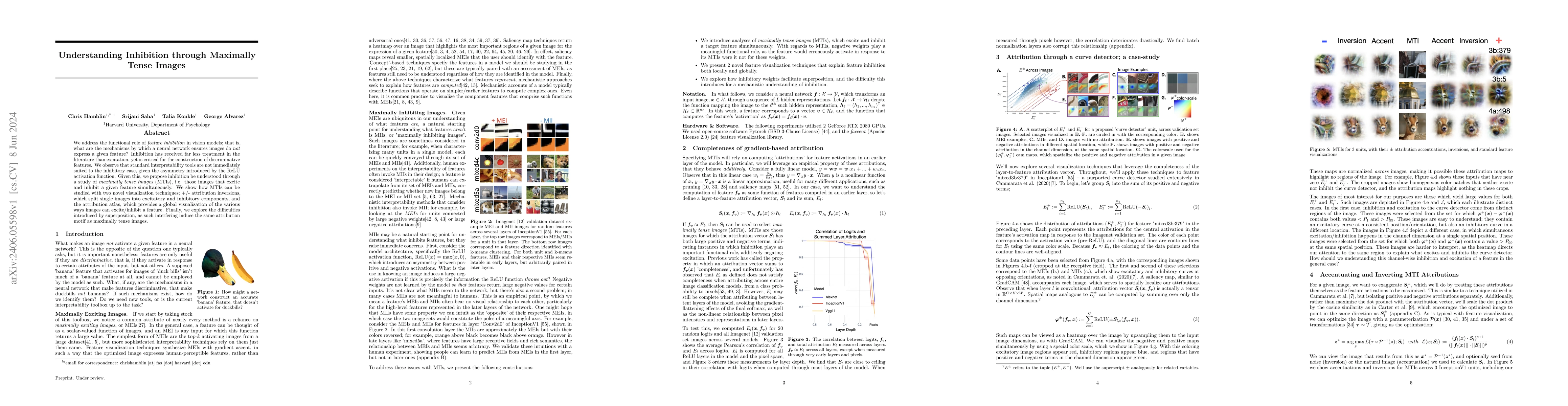Thumbnail for Understanding Inhibition Through Maximally Tense Images