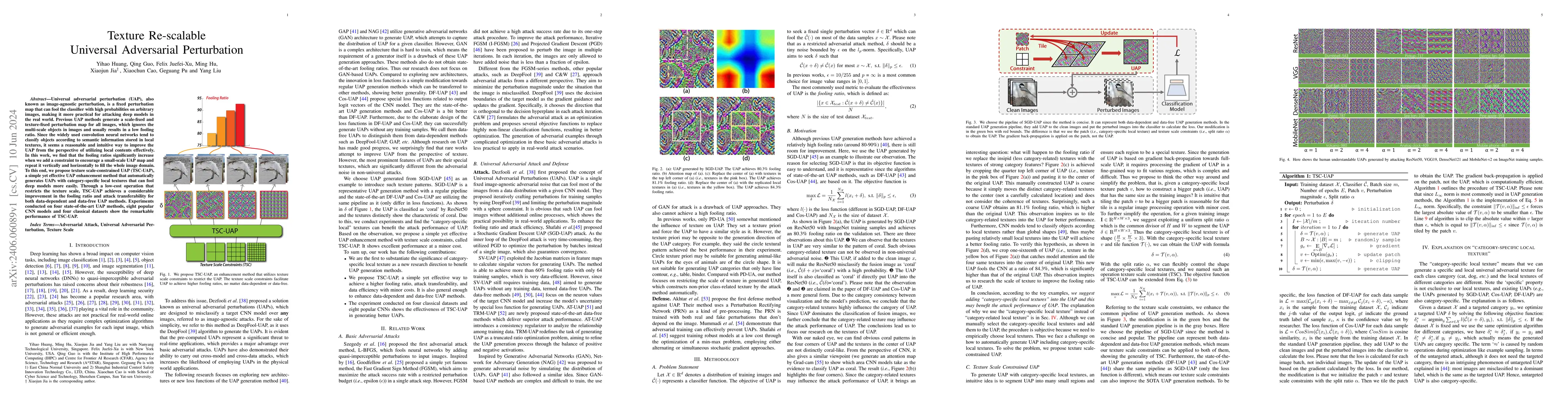 Thumbnail for Texture Re-scalable Universal Adversarial Perturbation