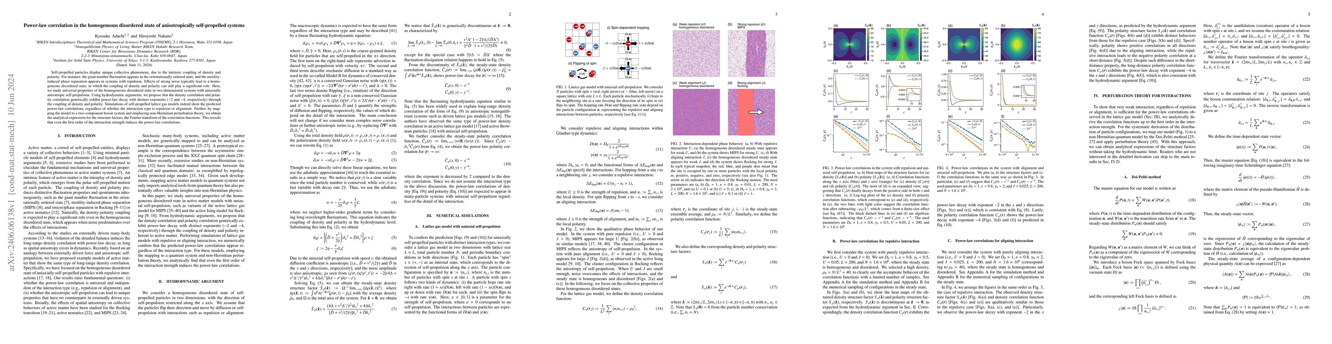 Thumbnail for Power-law correlation in the homogeneous disordered state of
  anisotropically self-propelled systems