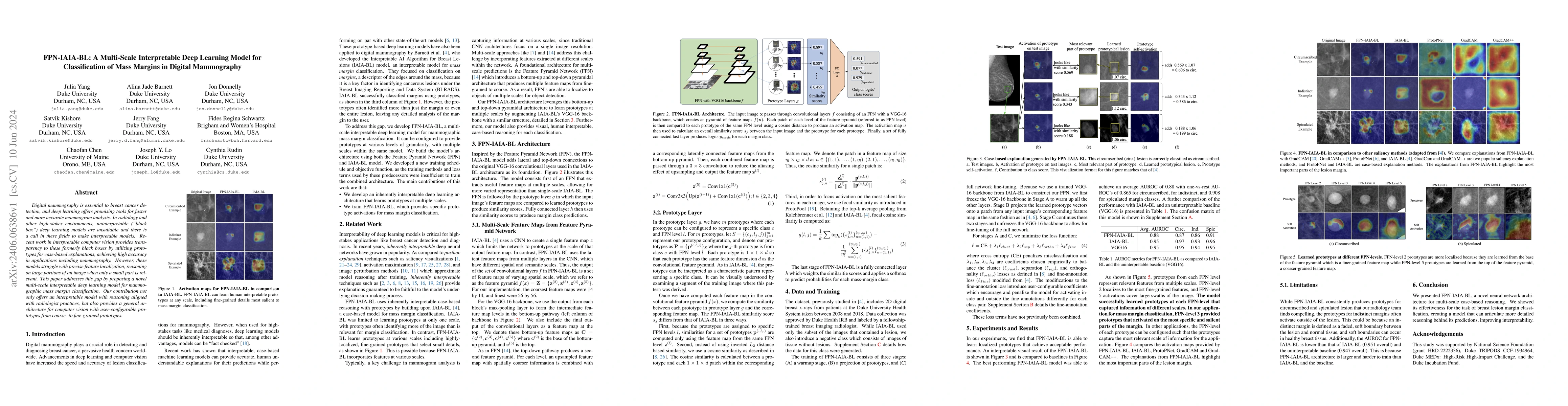 Thumbnail for FPN-IAIA-BL: A Multi-Scale Interpretable Deep Learning Model for
  Classification of Mass Margins in Digital Mammography