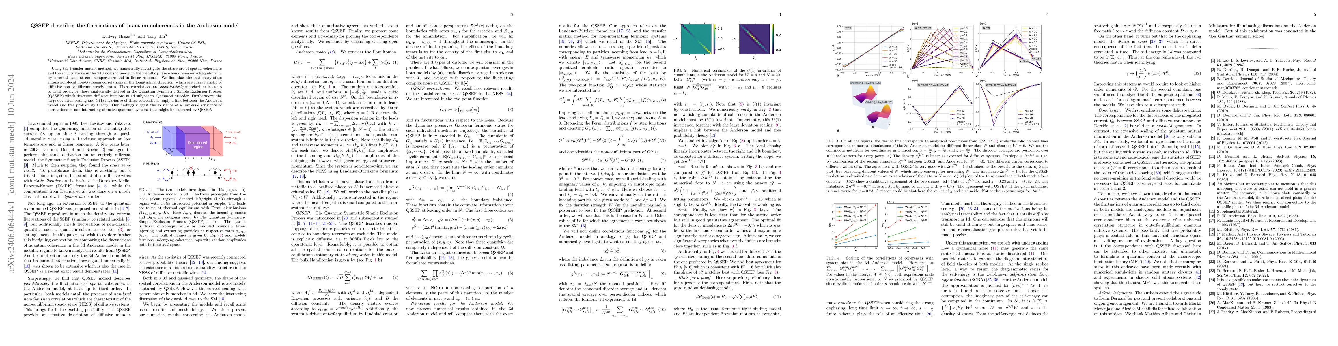 Thumbnail for QSSEP describes the fluctuations of quantum coherences in the Anderson
  model