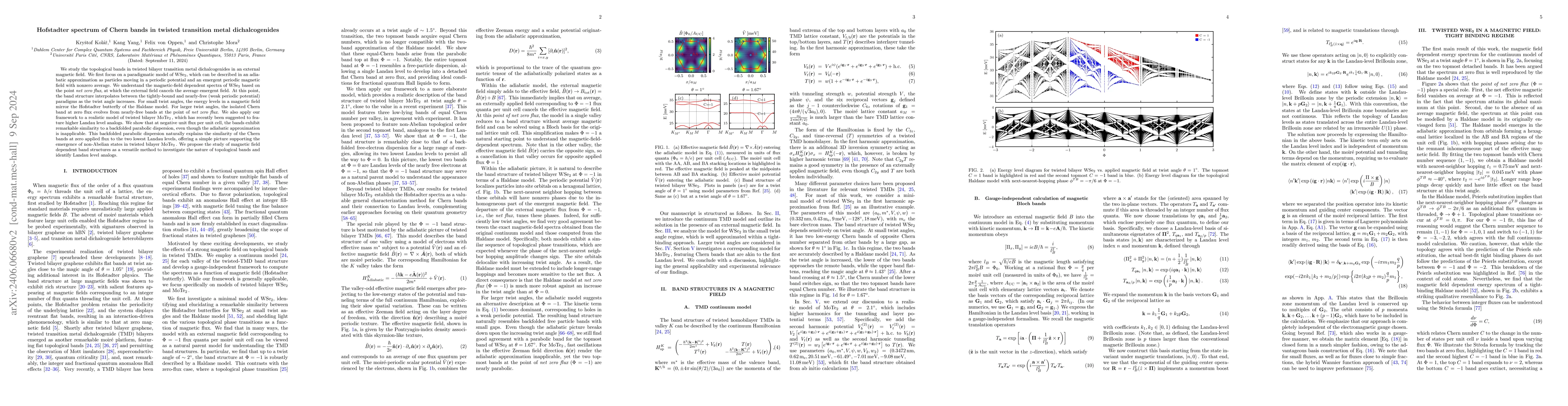 Thumbnail for Hofstadter spectrum of Chern bands in twisted transition metal
  dichalcogenides