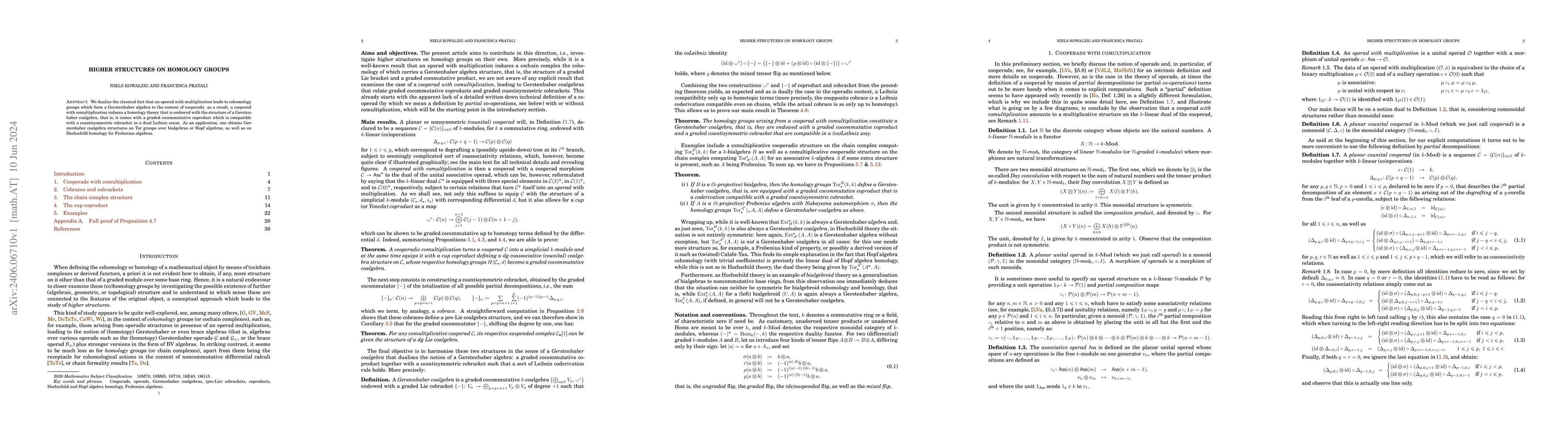 Thumbnail for Higher structures on homology groups