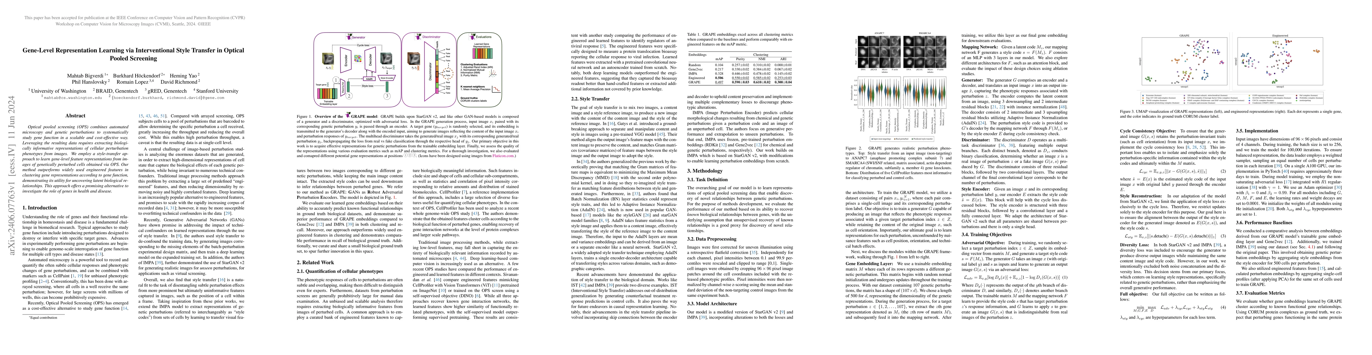 Thumbnail for Gene-Level Representation Learning via Interventional Style Transfer in
  Optical Pooled Screening