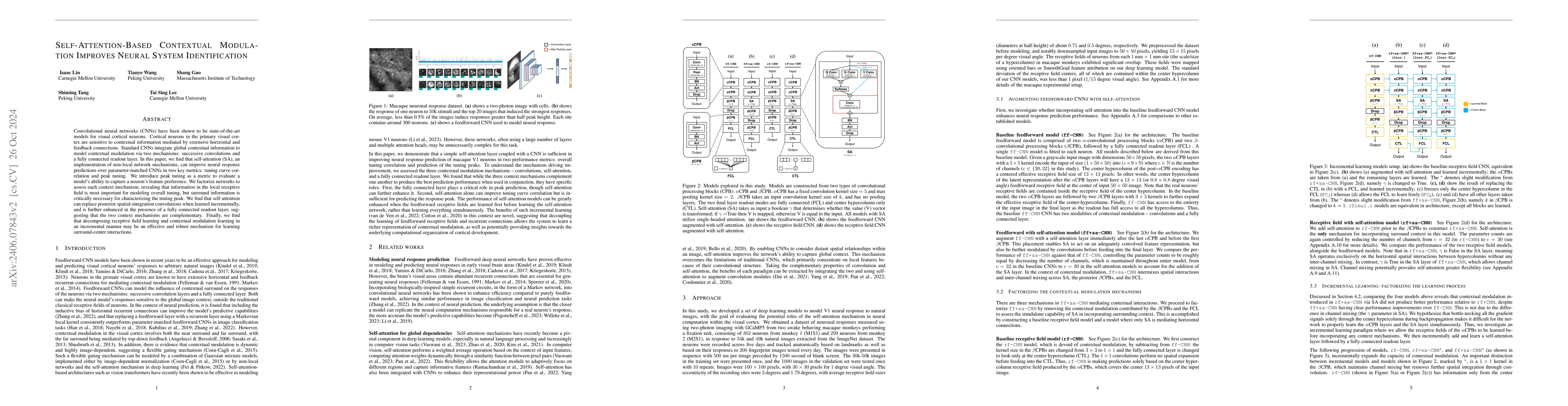 Thumbnail for Incremental Learning and Self-Attention Mechanisms Improve Neural System
  Identification