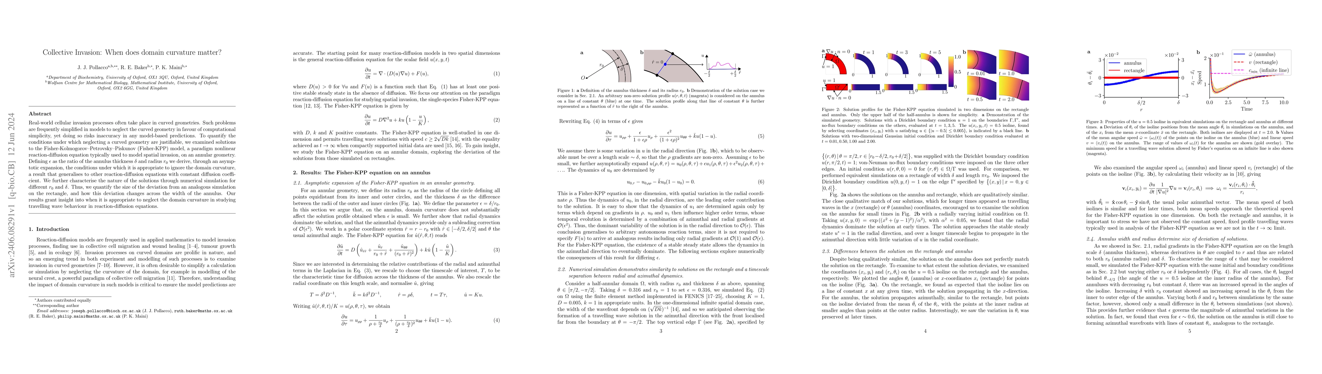 Thumbnail for Collective Invasion: When does domain curvature matter?