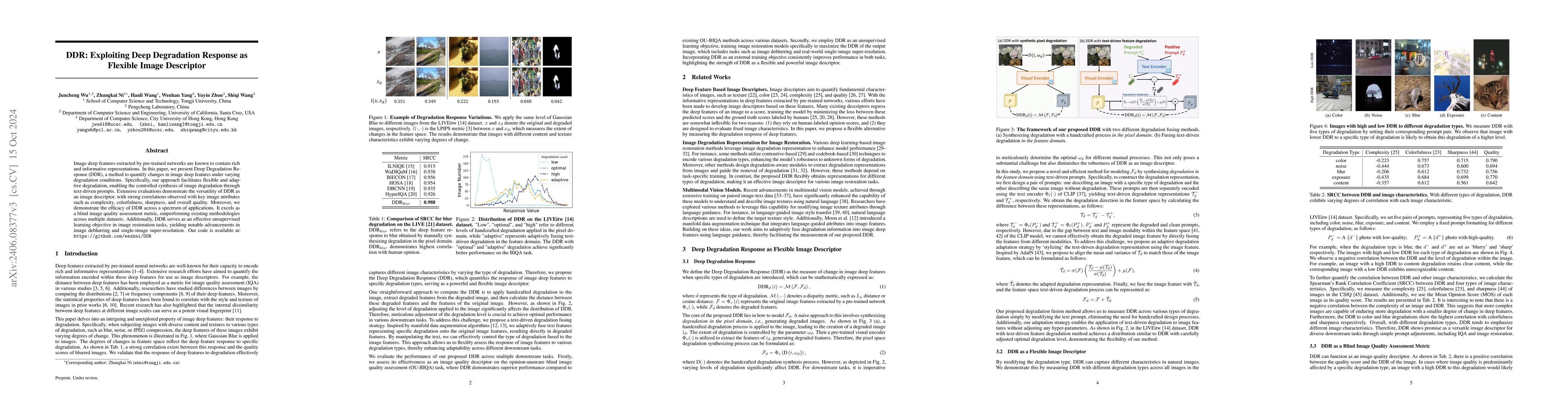 Thumbnail for DDR: Exploiting Deep Degradation Response as Flexible Image Descriptor