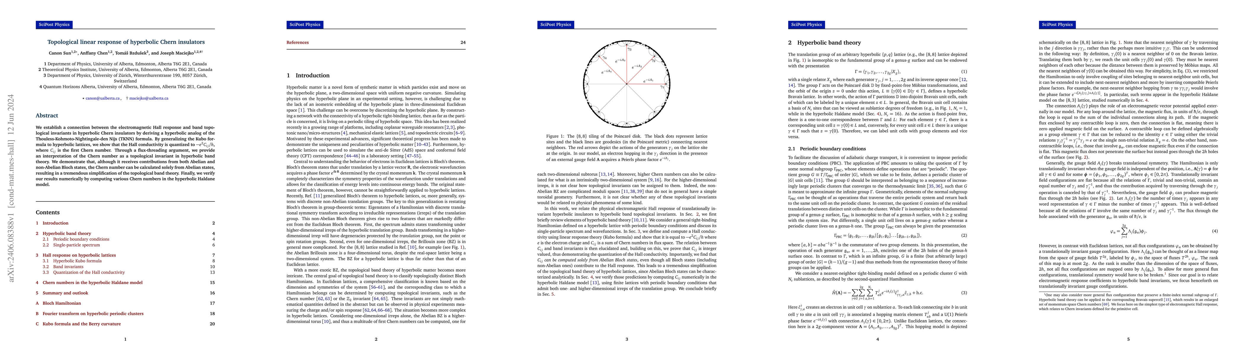 Thumbnail for Topological linear response of hyperbolic Chern insulators