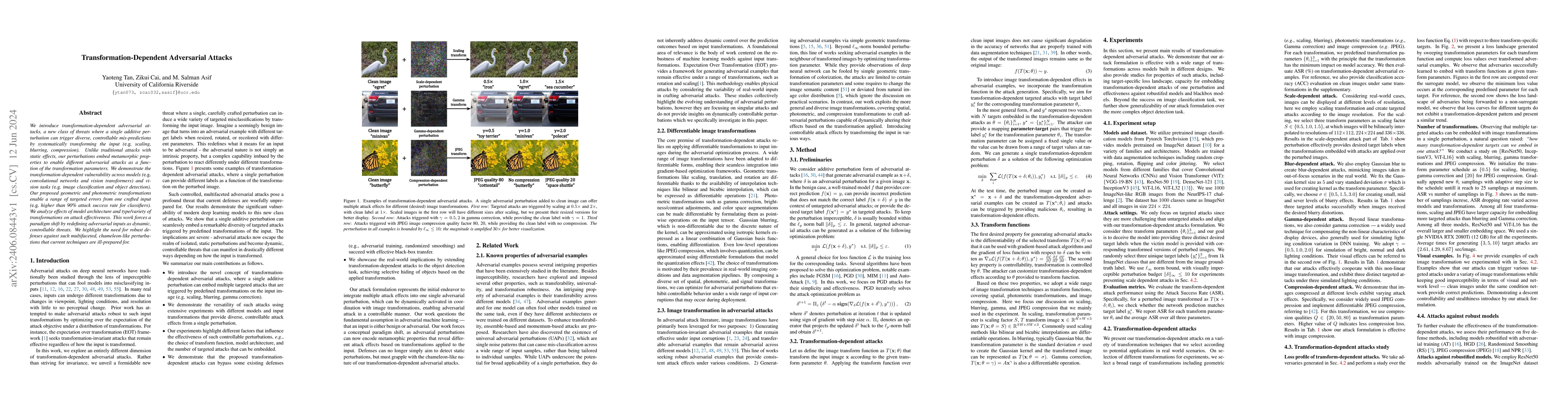 Thumbnail for Transformation-Dependent Adversarial Attacks