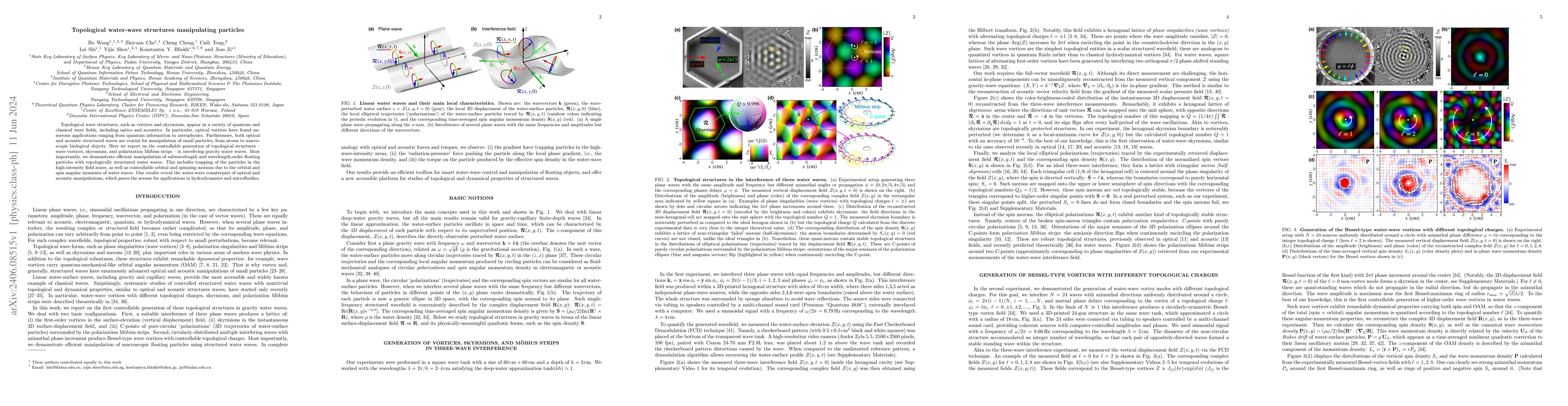 Thumbnail for Topological water-wave structures manipulating particles