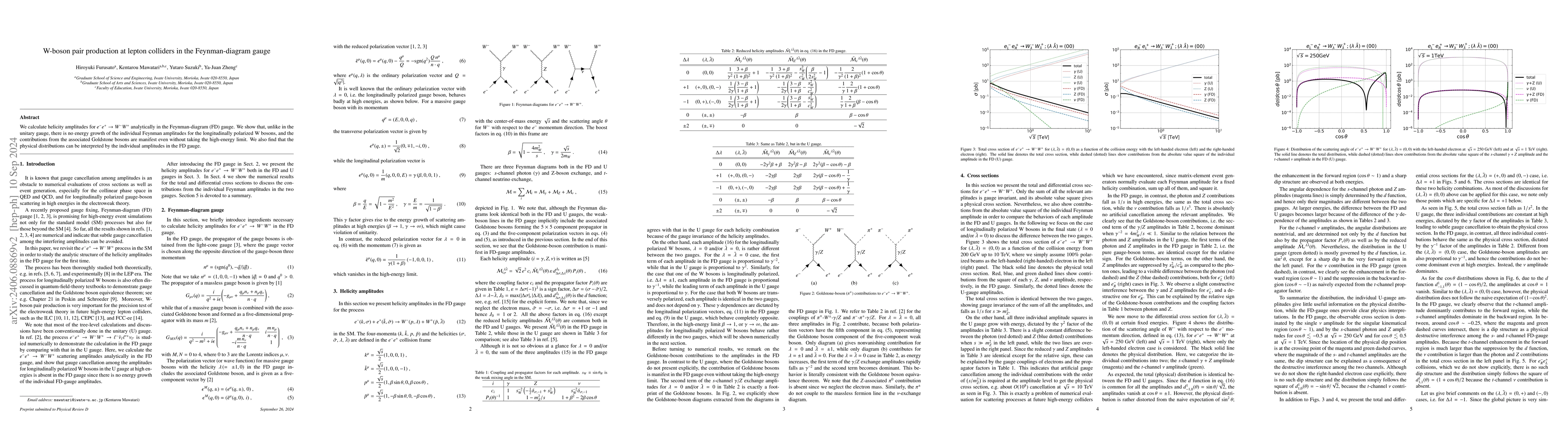 Thumbnail for W-boson pair production at lepton colliders in the Feynman-diagram gauge