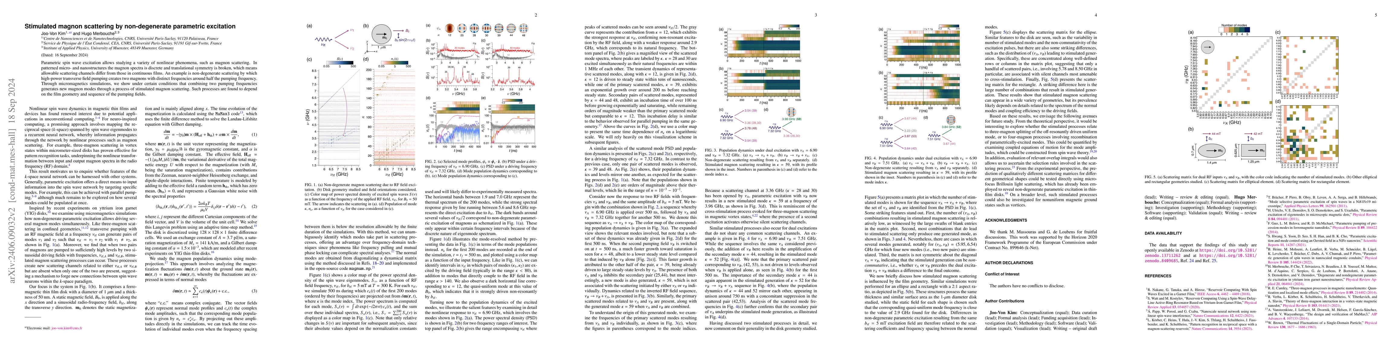 Thumbnail for Stimulated magnon scattering by non-degenerate parametric excitation