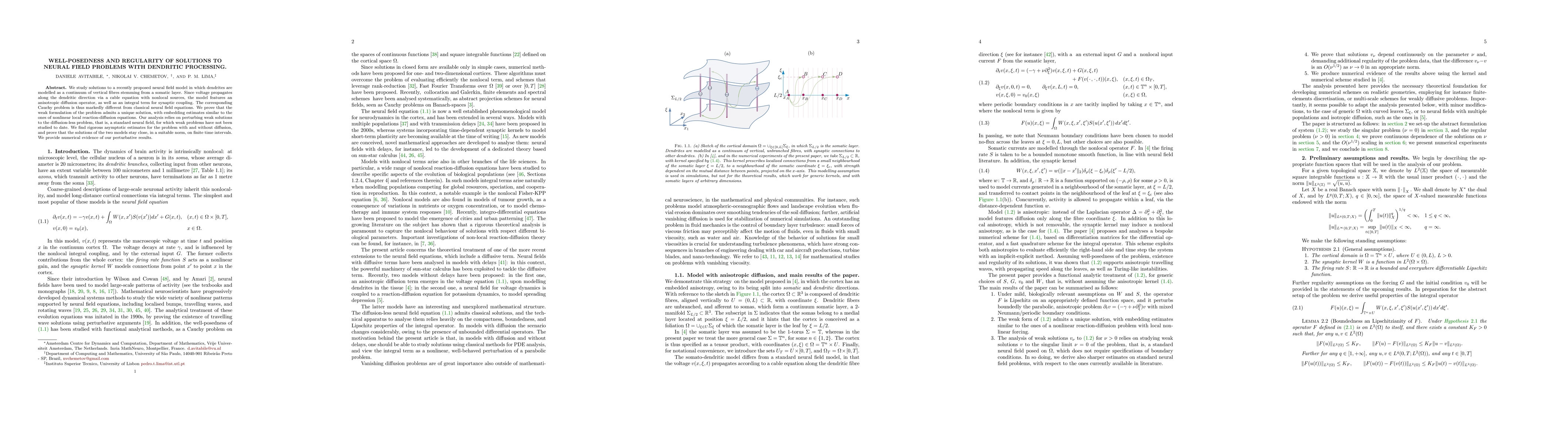 Thumbnail for Well-posedness and regularity of solutions to neural field problems with
  dendritic processing