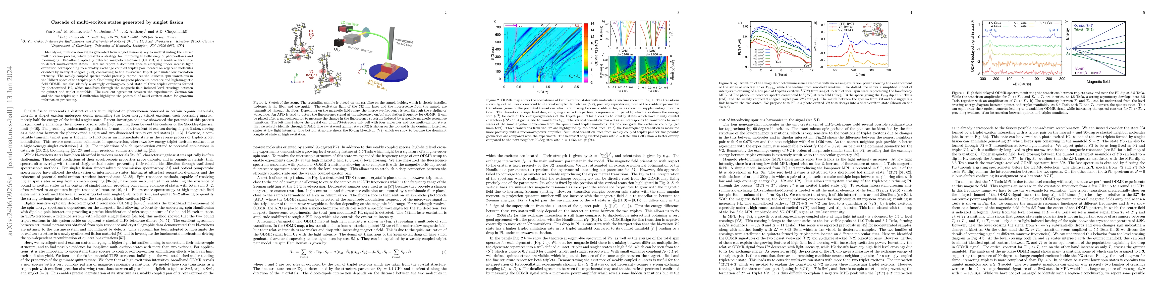 Thumbnail for Cascade of multi-exciton states generated by singlet fission