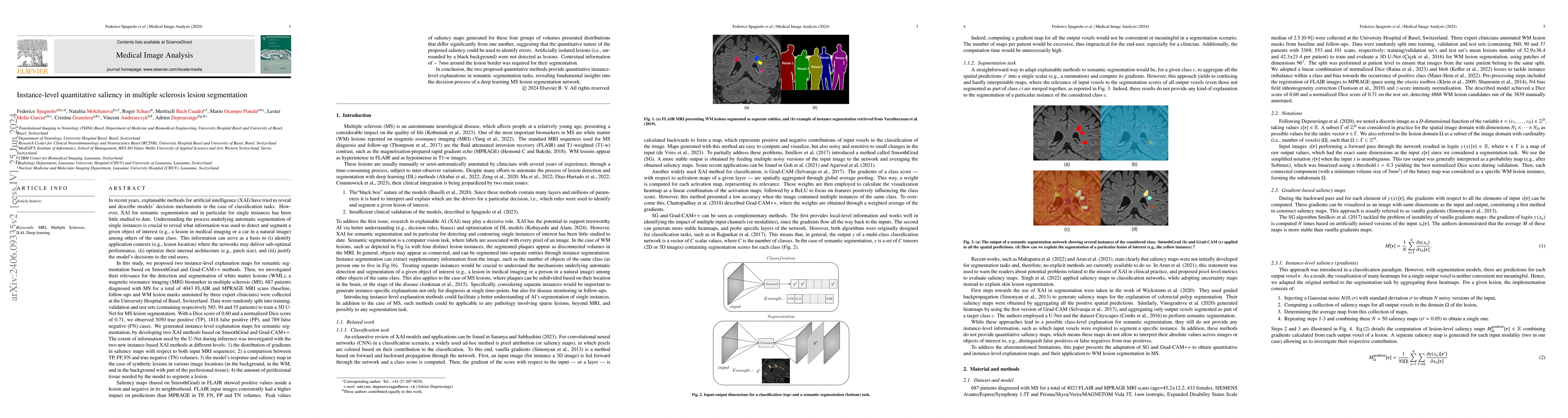 Thumbnail for Instance-level quantitative saliency in multiple sclerosis lesion
  segmentation