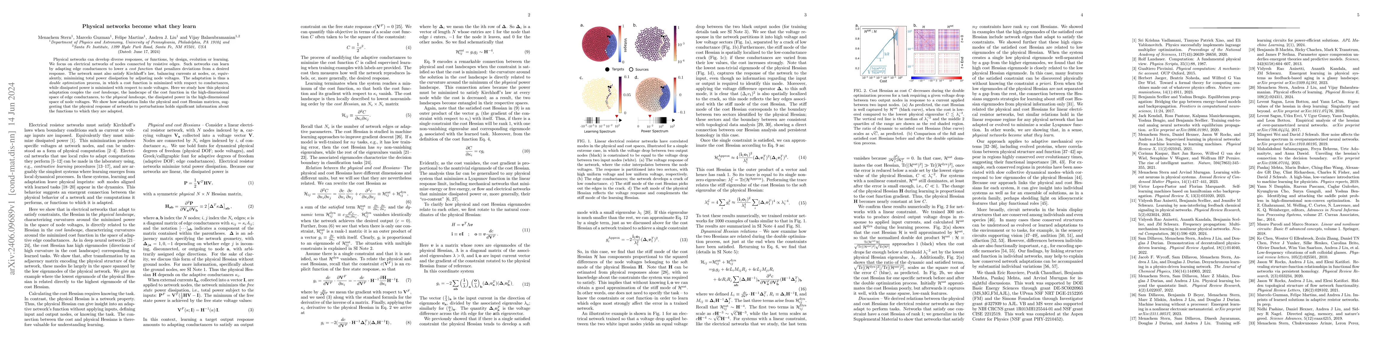 Thumbnail for Physical networks become what they learn