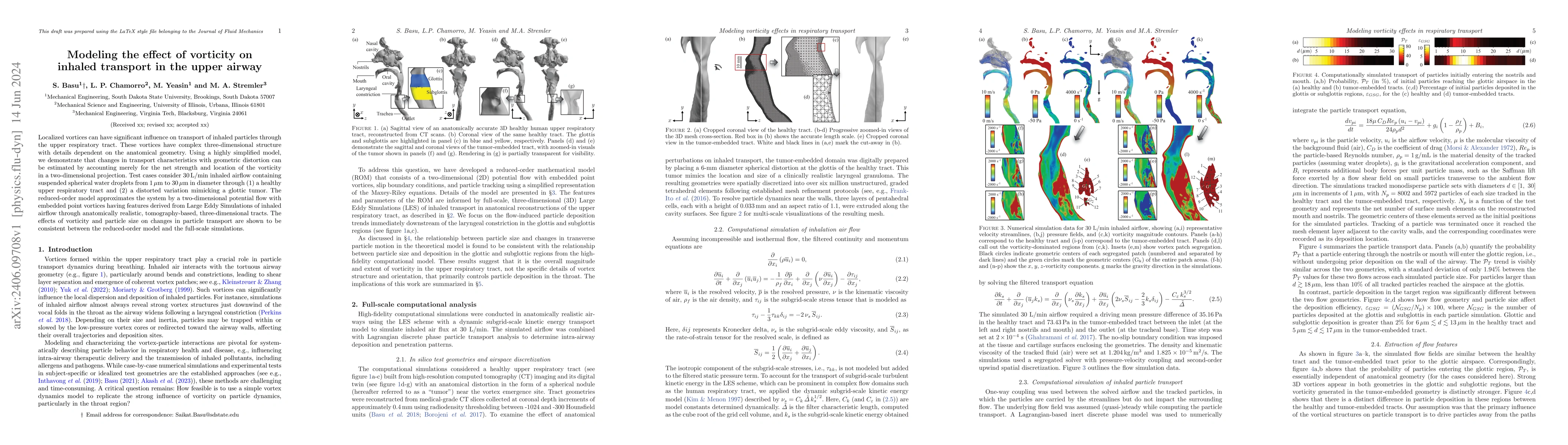 Thumbnail for Modeling the effect of vorticity on inhaled transport in the upper
  airway
