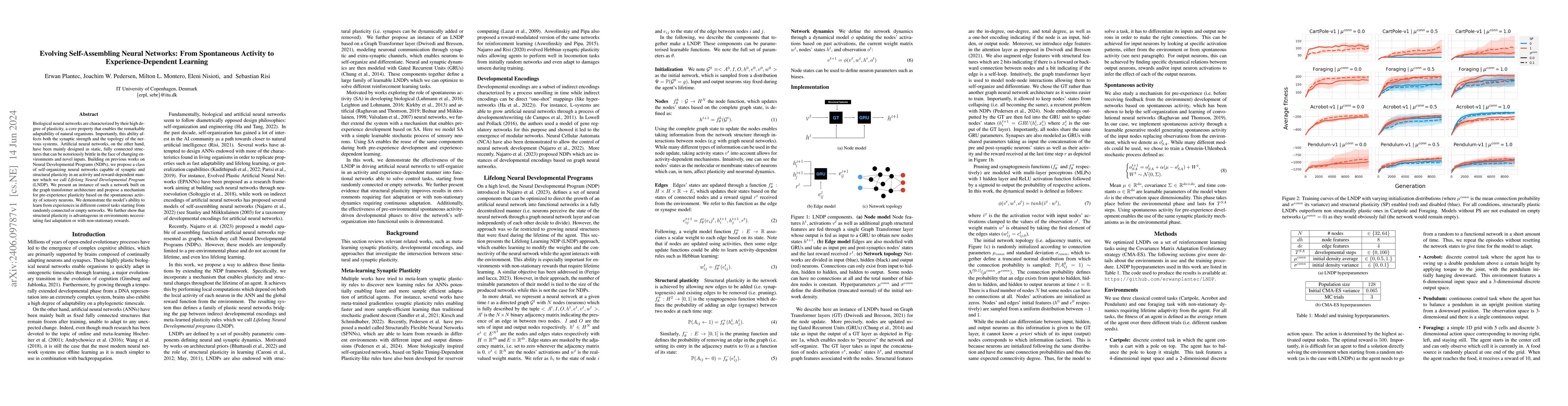 Thumbnail for Evolving Self-Assembling Neural Networks: From Spontaneous Activity to
  Experience-Dependent Learning