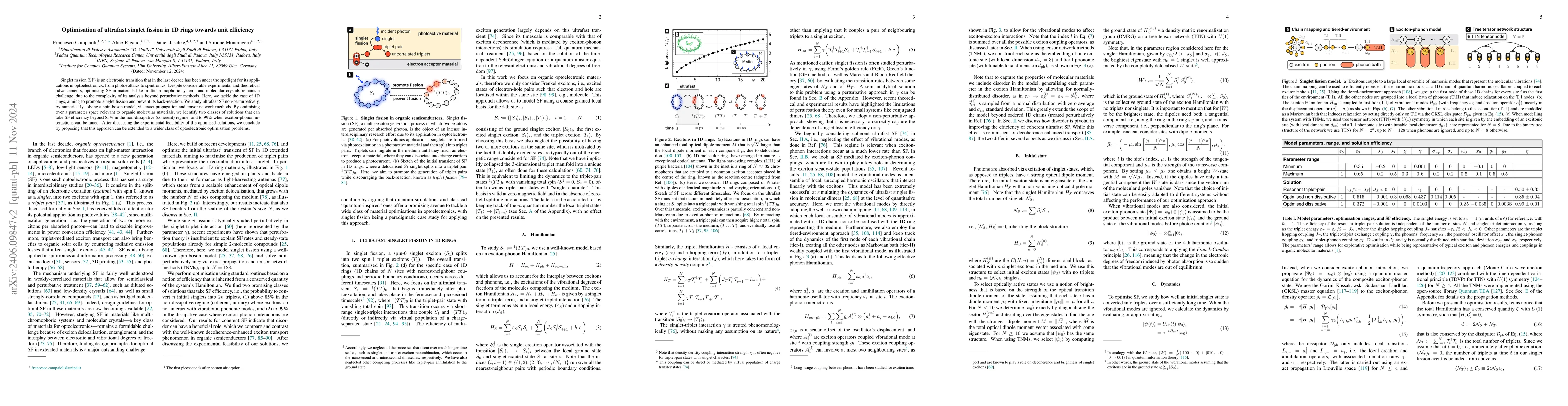Thumbnail for Optimisation of ultrafast singlet fission in 1D rings towards unit
  efficiency