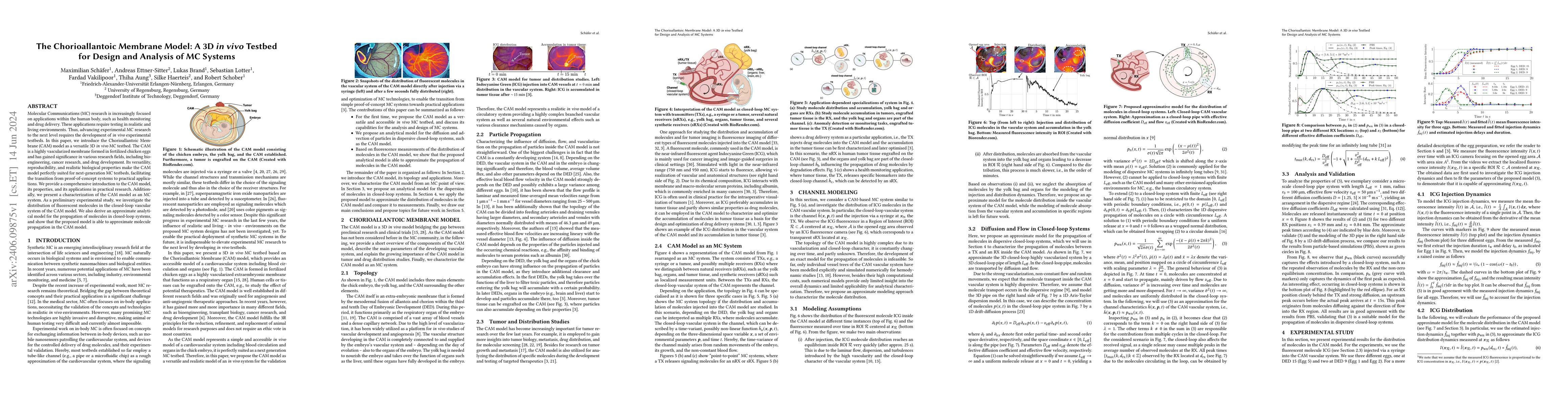 Thumbnail for The Chorioallantoic Membrane Model: A 3D in vivo Testbed for Design and
  Analysis of MC Systems
