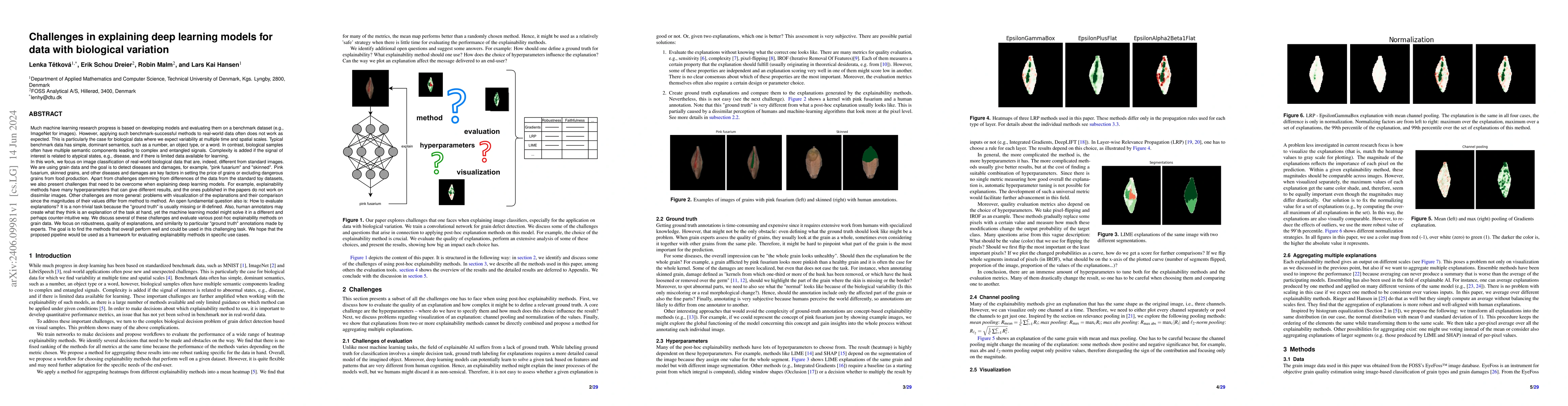 Thumbnail for Challenges in explaining deep learning models for data with biological
  variation