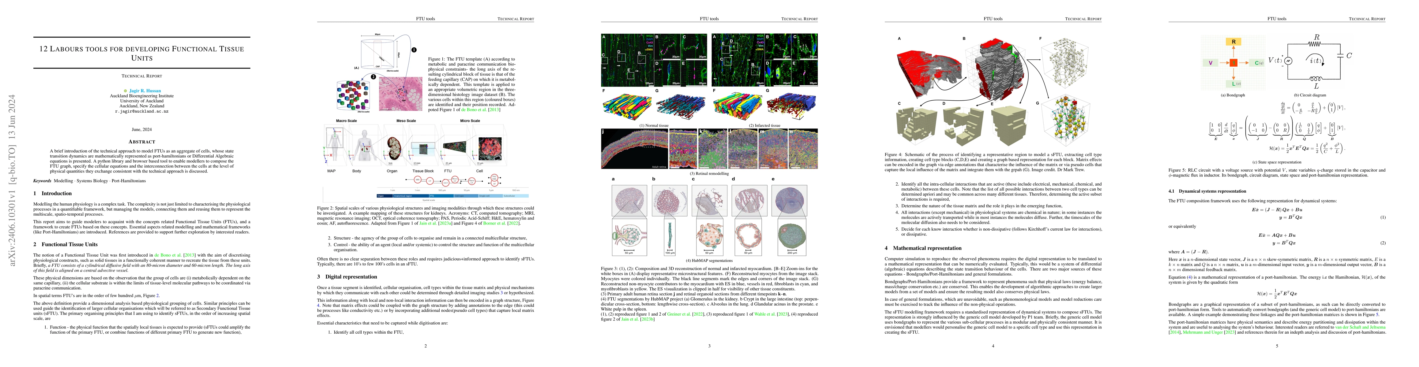 Thumbnail for 12 Labours tools for developing Functional Tissue Units
