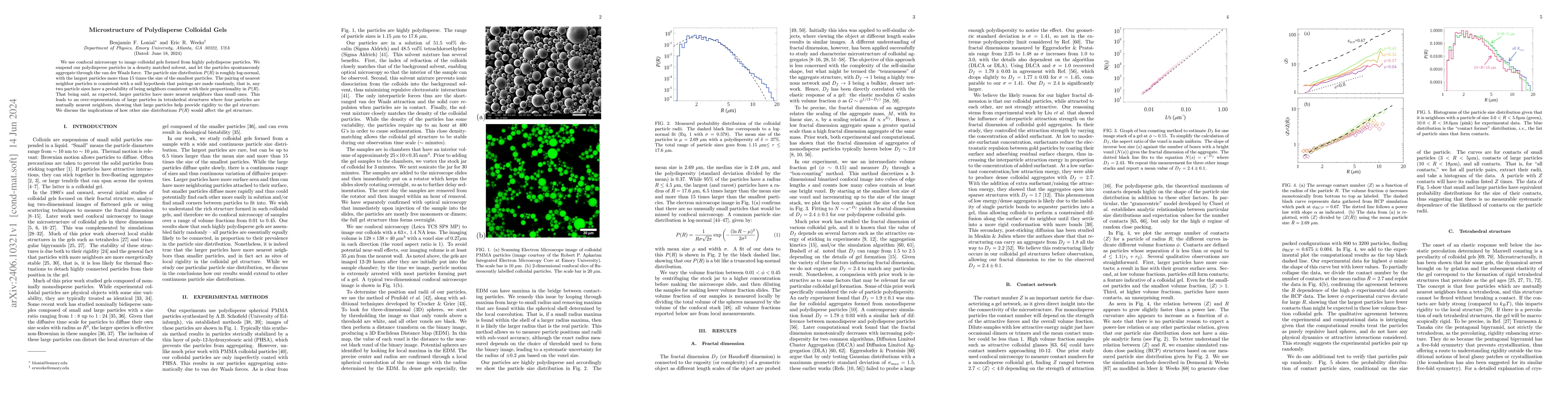 Thumbnail for Microstructure of polydisperse colloidal gels