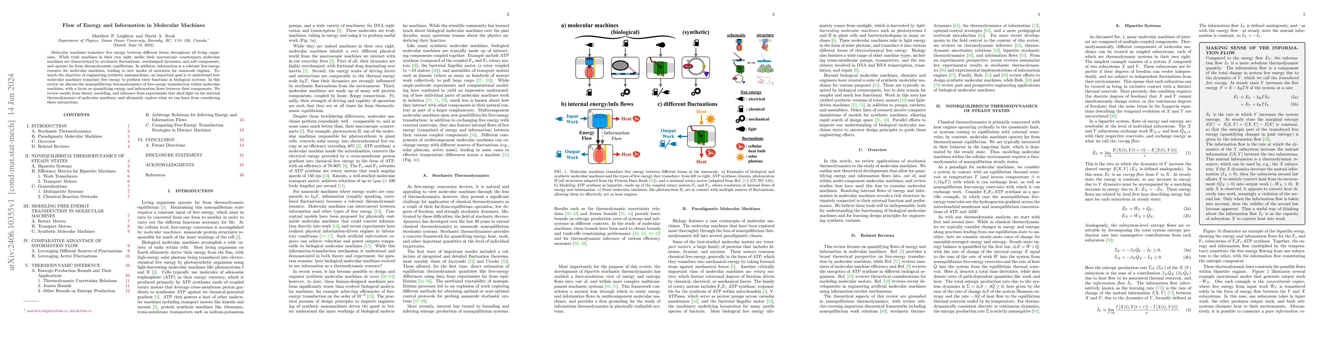 Thumbnail for Flow of Energy and Information in Molecular Machines