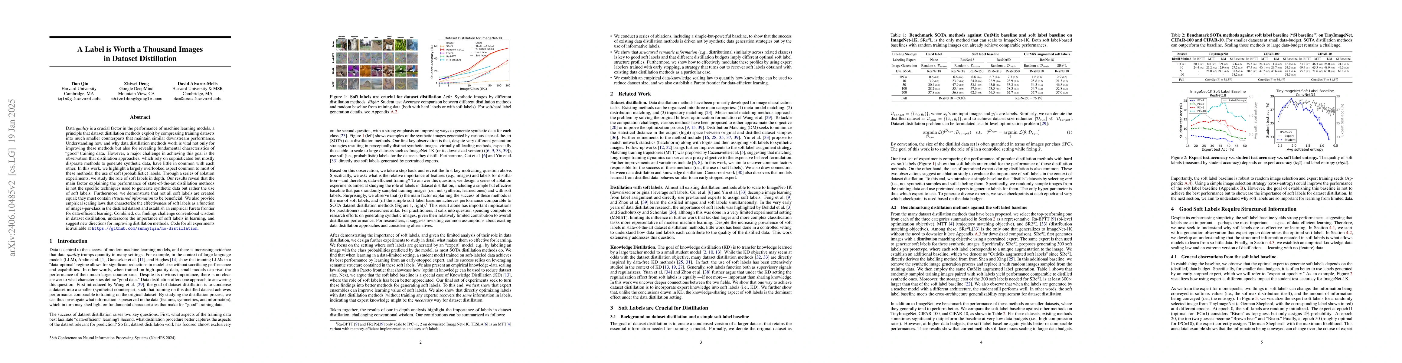 Thumbnail for A Label is Worth a Thousand Images in Dataset Distillation