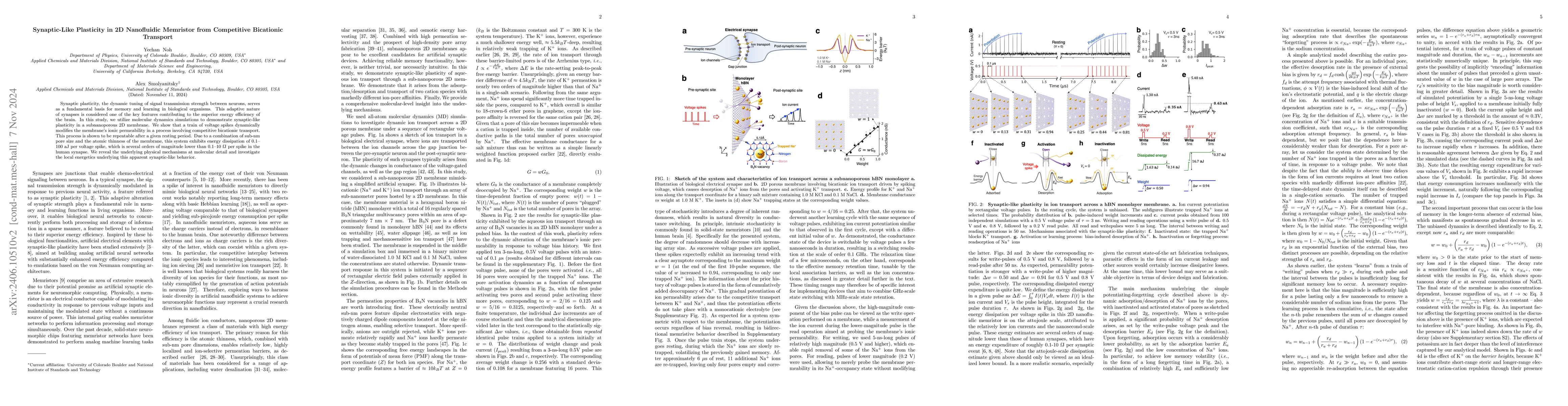 Thumbnail for Synaptic-Like Plasticity in 2D Nanofluidic Memristor from Competitive
  Bicationic Transport