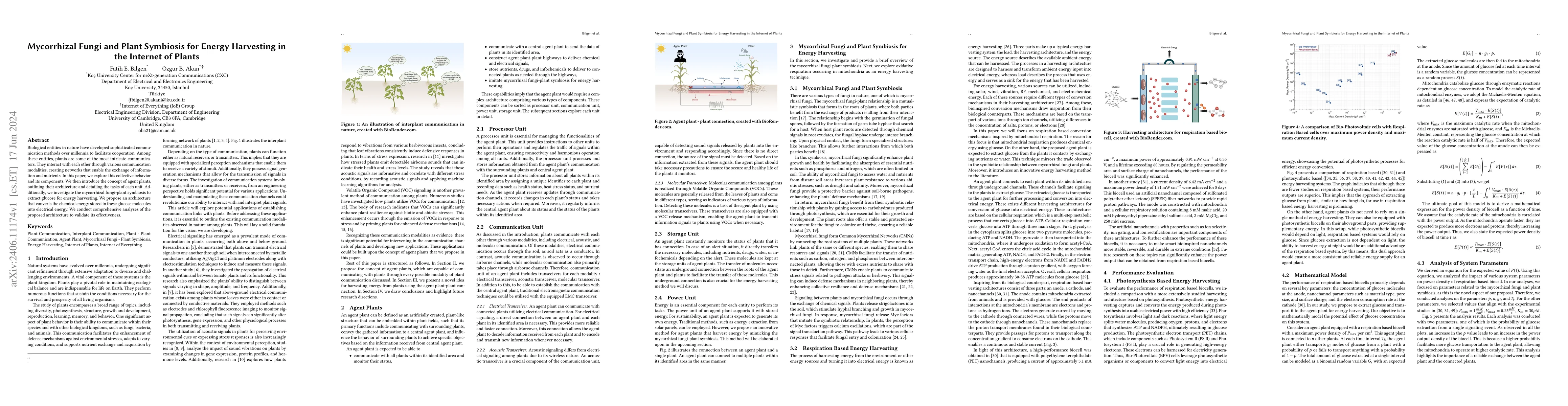 Thumbnail for Mycorrhizal Fungi and Plant Symbiosis for Energy Harvesting in the
  Internet of Plants