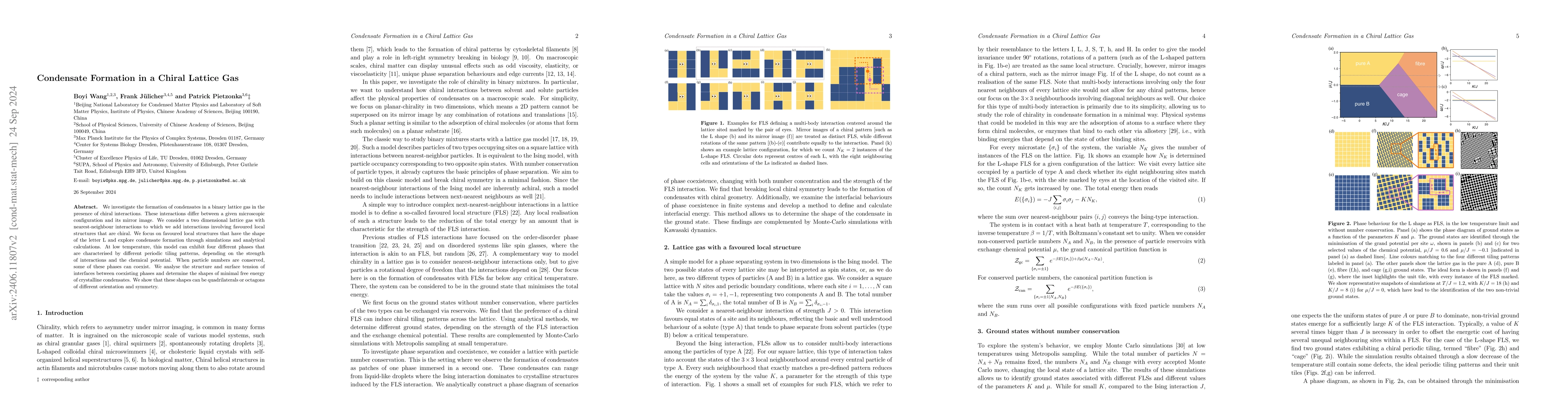 Thumbnail for Condensate Formation in a Chiral Lattice Gas