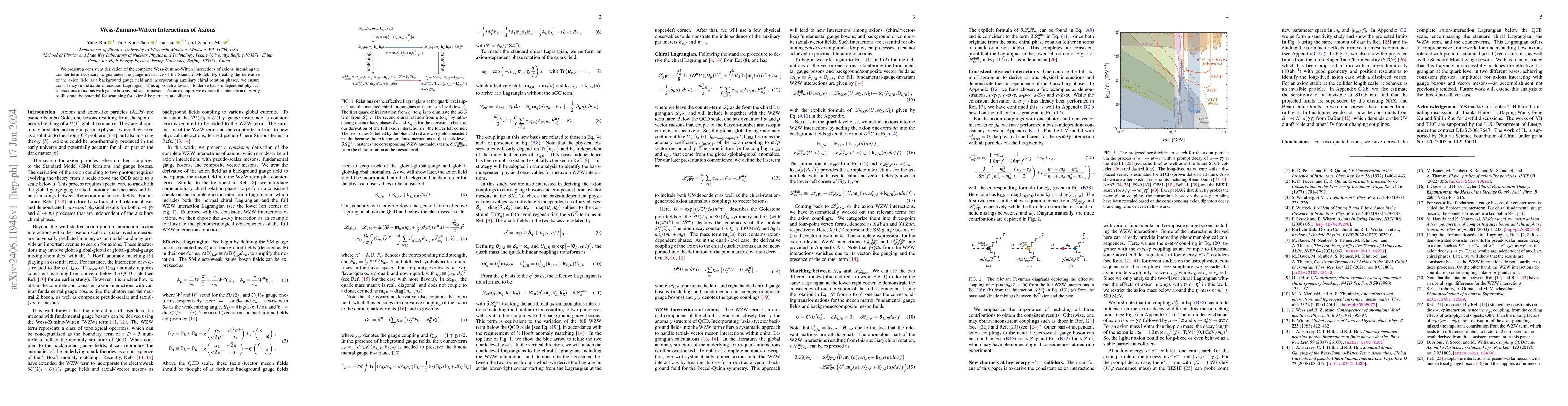 Thumbnail for Wess-Zumino-Witten Interactions of Axions