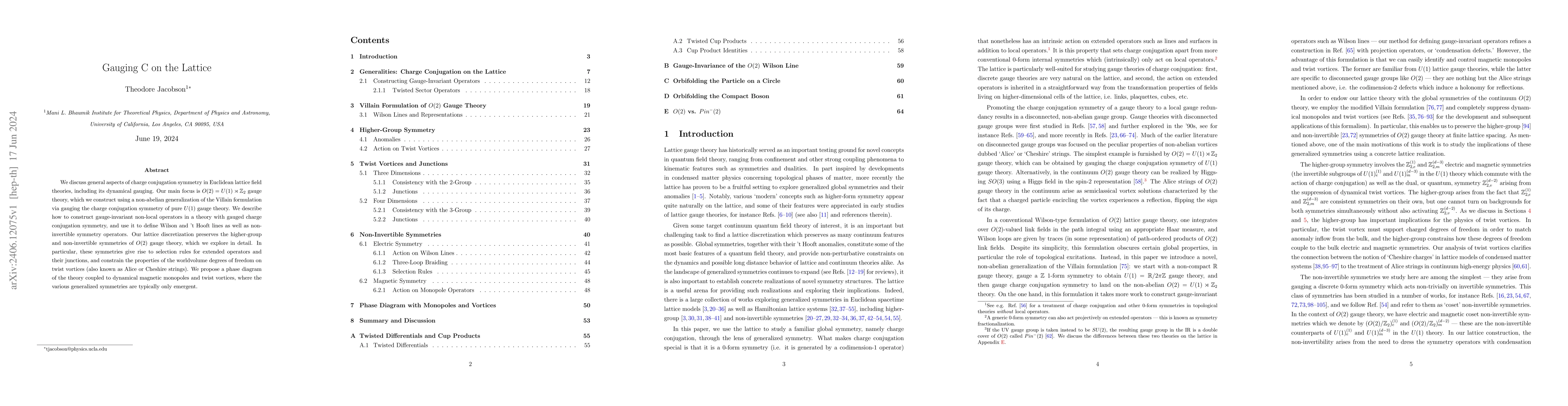 Thumbnail for Gauging C on the Lattice