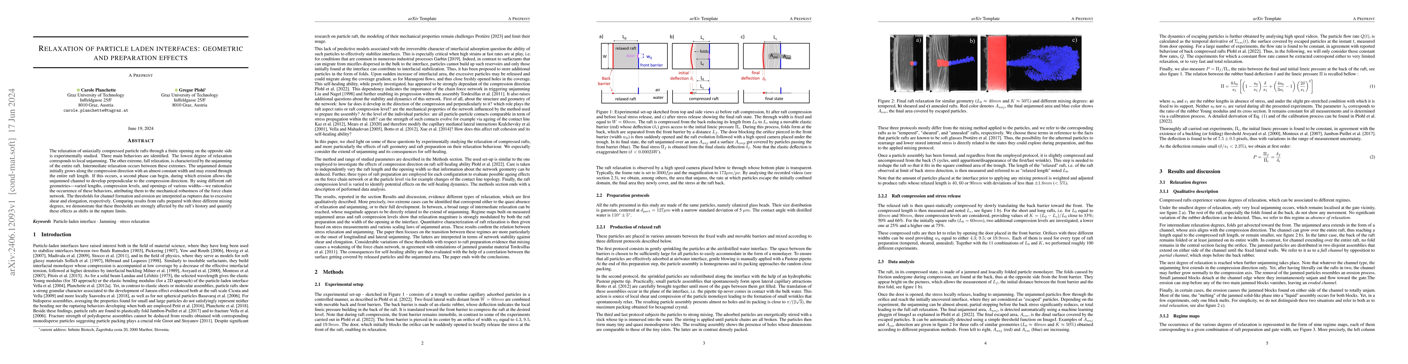 Thumbnail for Relaxation of particle-laden interfaces: geometric and preparation
  effects