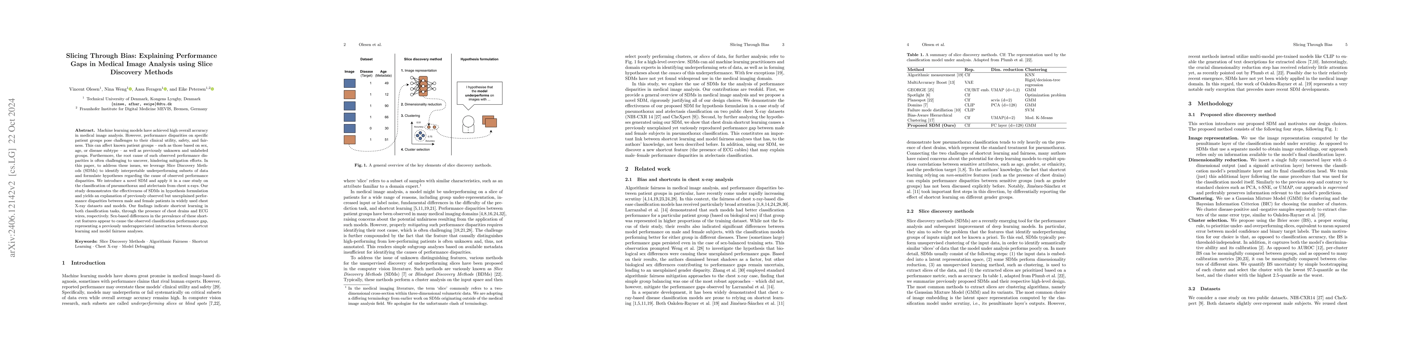 Thumbnail for Slicing Through Bias: Explaining Performance Gaps in Medical Image
  Analysis using Slice Discovery Methods