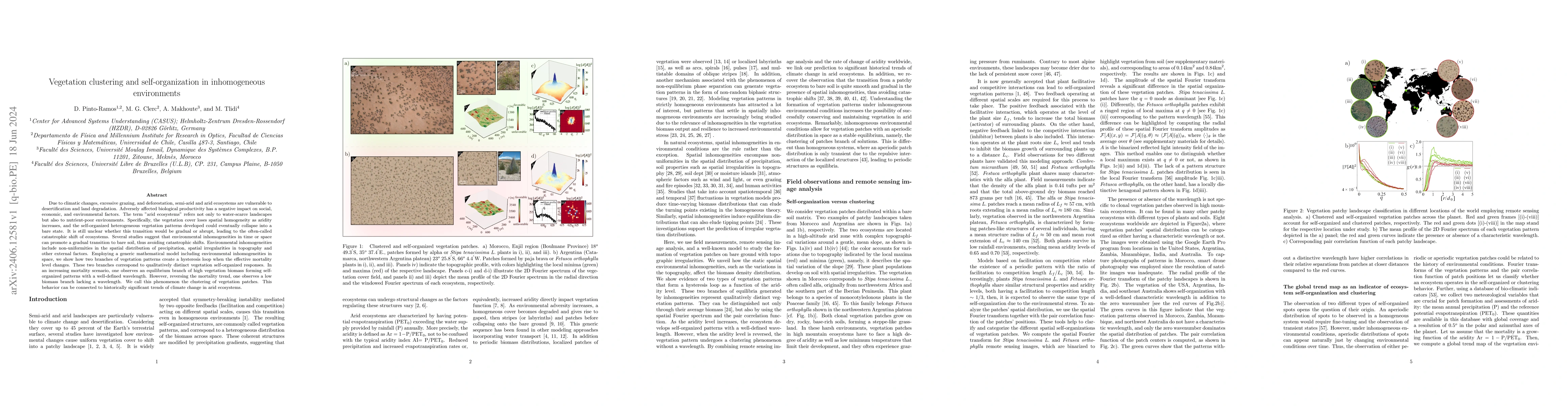 Thumbnail for Vegetation clustering and self-organization in inhomogeneous
  environments