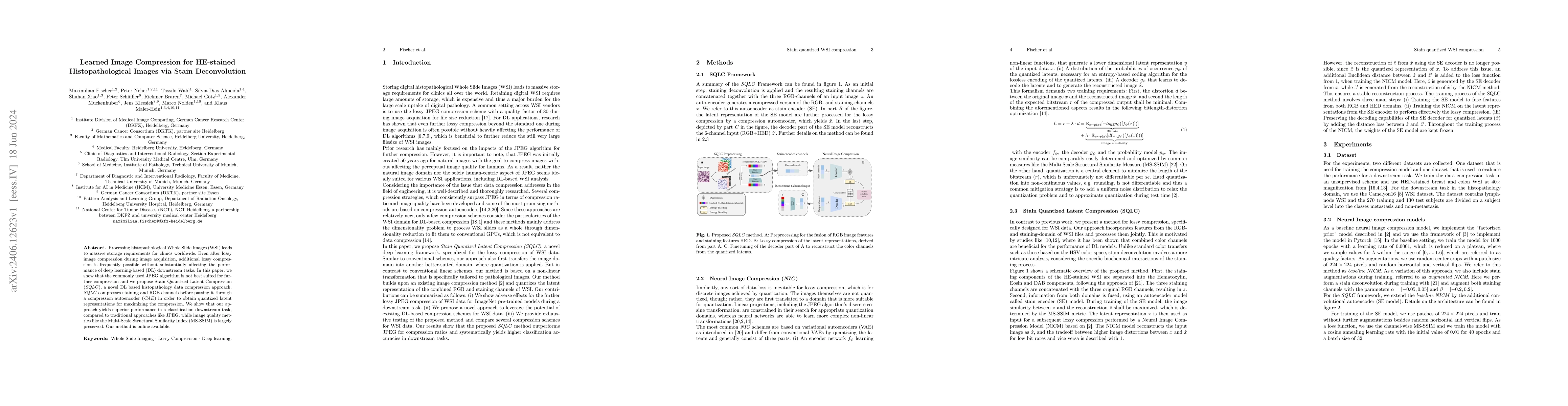 Thumbnail for Learned Image Compression for HE-stained Histopathological Images via
  Stain Deconvolution