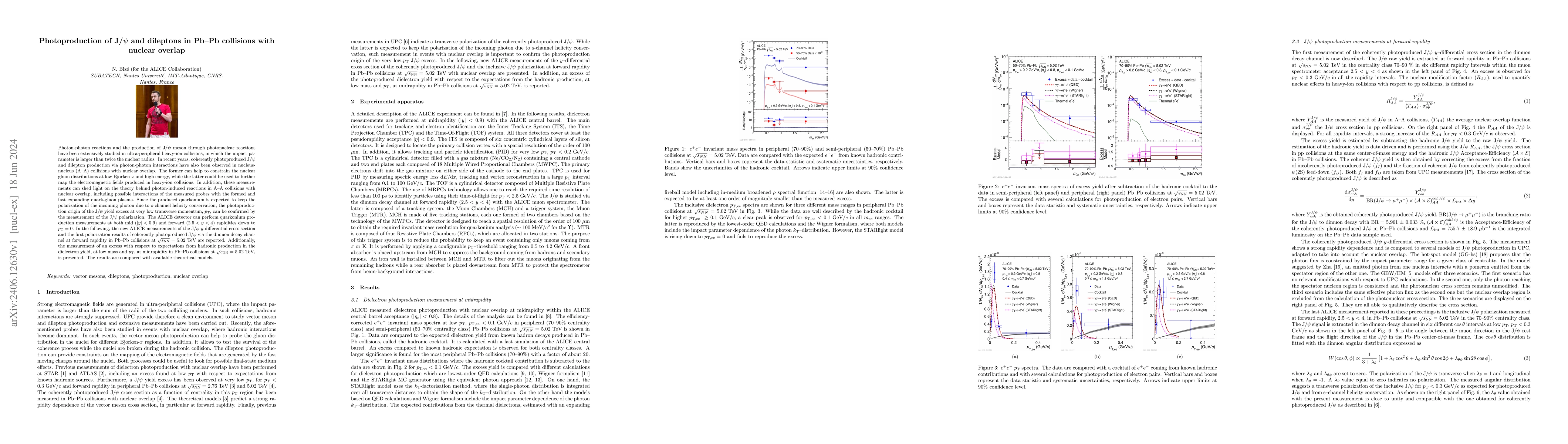 Thumbnail for Photoproduction of J/$\psi$ and dileptons in Pb-Pb collisions with
  nuclear overlap