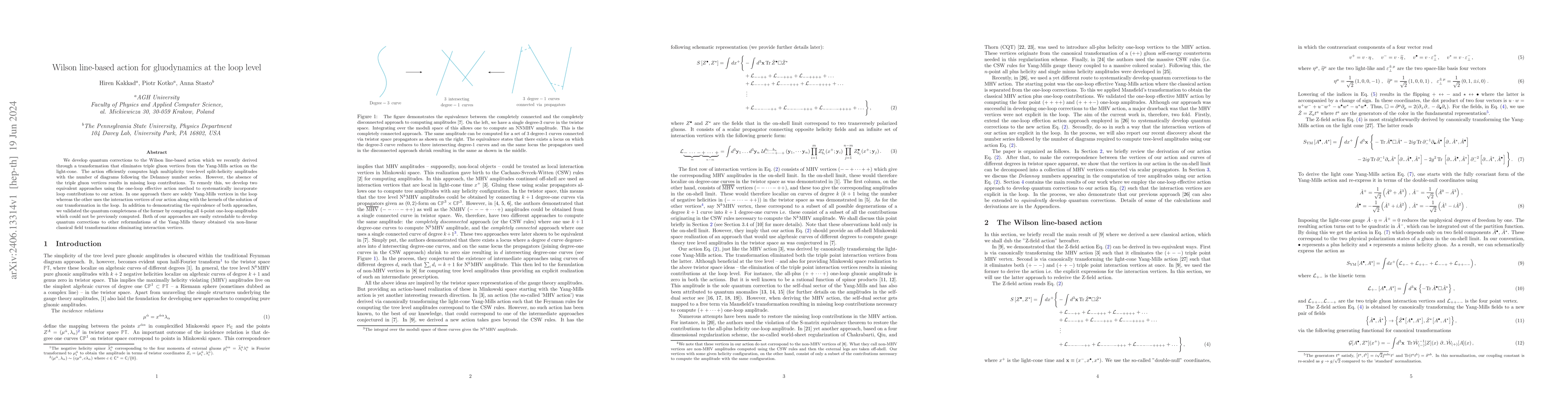 Thumbnail for Wilson line-based action for gluodynamics at the loop level