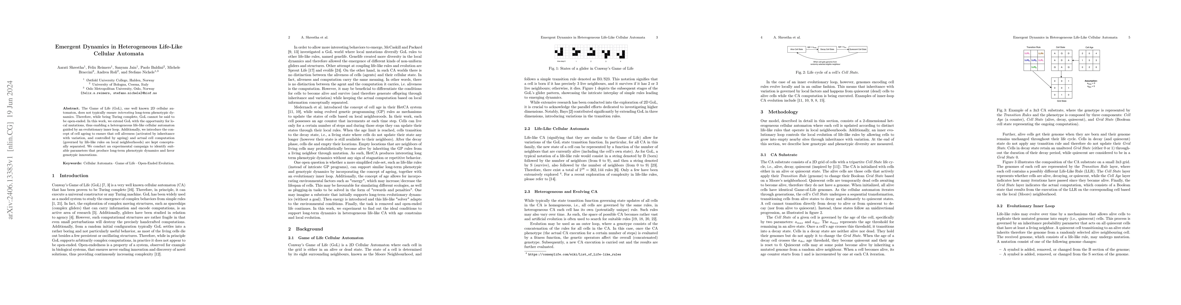 Thumbnail for Emergent Dynamics in Heterogeneous Life-Like Cellular Automata