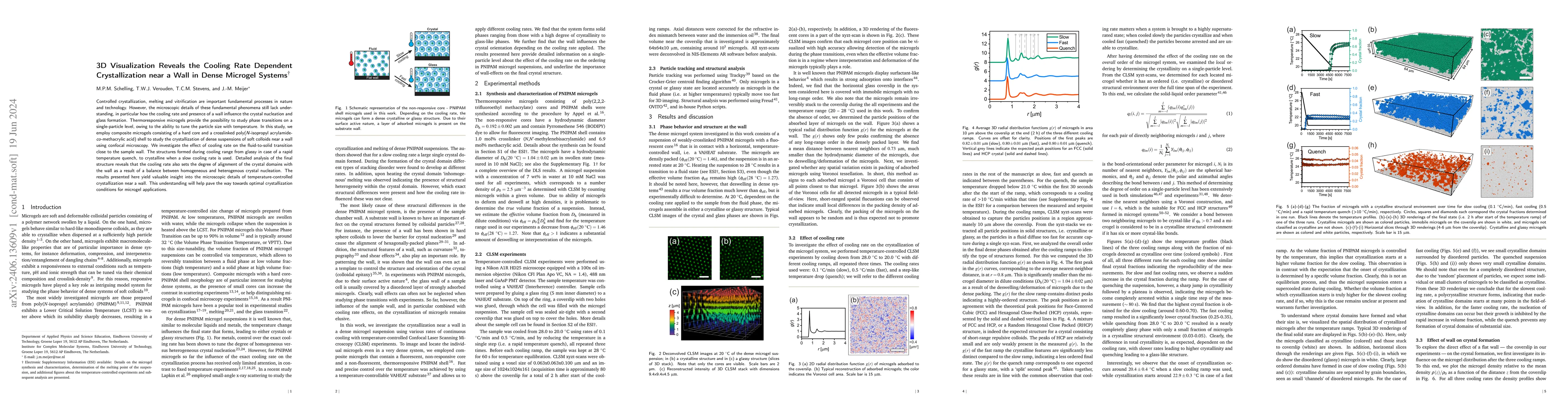 Thumbnail for 3D Visualization Reveals the Cooling Rate Dependent Crystallization near
  a Wall in Dense Microgel Systems