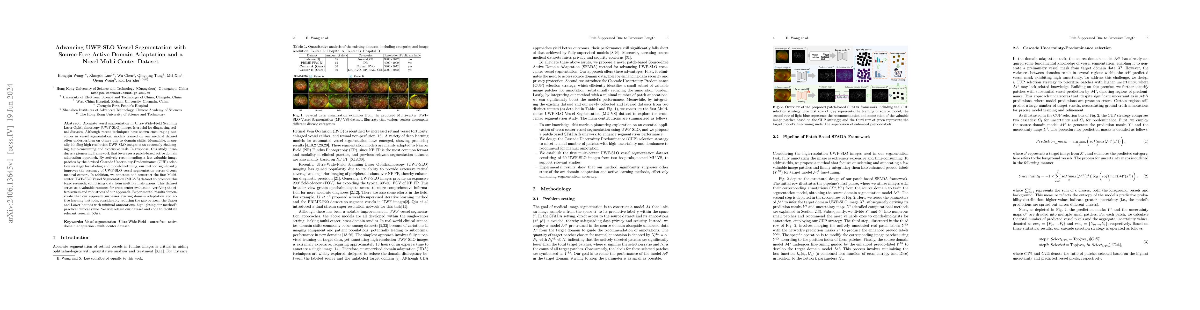 Thumbnail for Advancing UWF-SLO Vessel Segmentation with Source-Free Active Domain
  Adaptation and a Novel Multi-Center Dataset