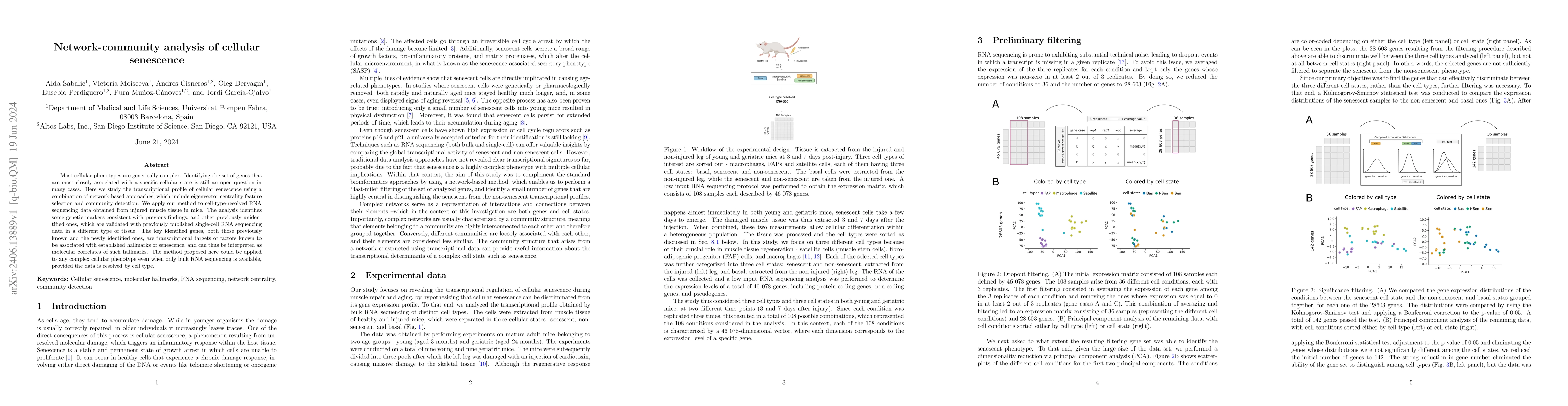 Thumbnail for Network-community analysis of cellular senescence