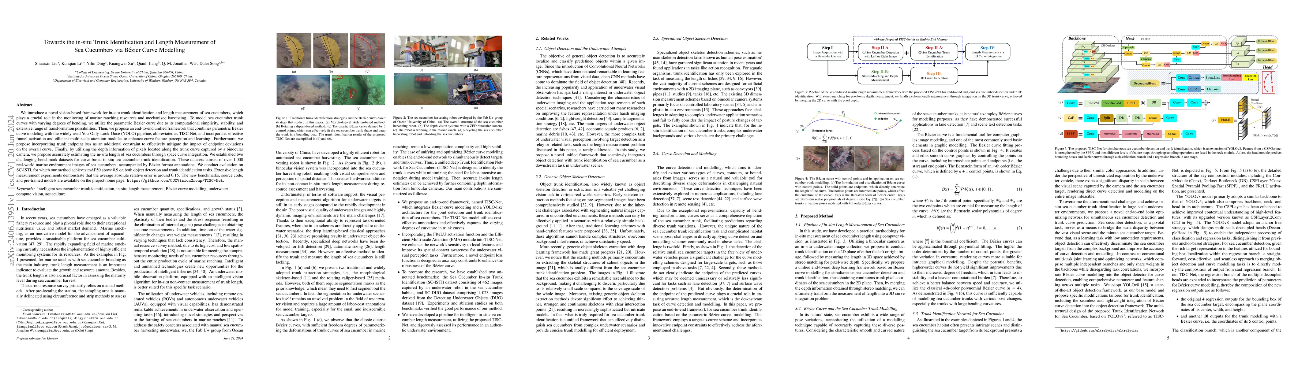 Thumbnail for Towards the in-situ Trunk Identification and Length Measurement of Sea
  Cucumbers via Bézier Curve Modelling