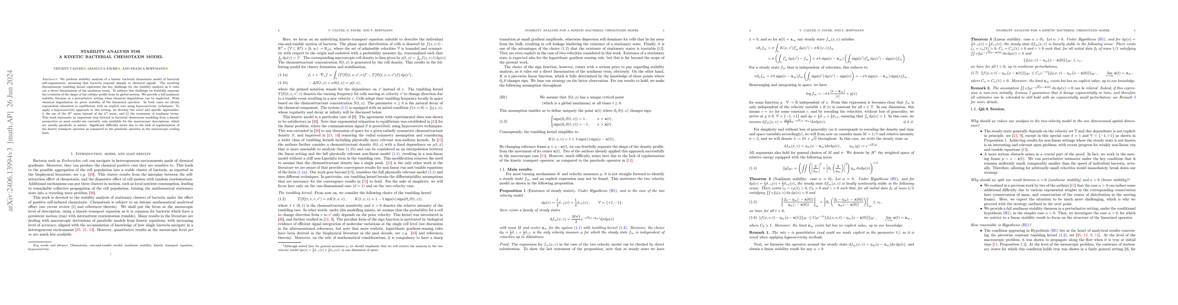 Thumbnail for Stability analysis for a kinetic bacterial chemotaxis model