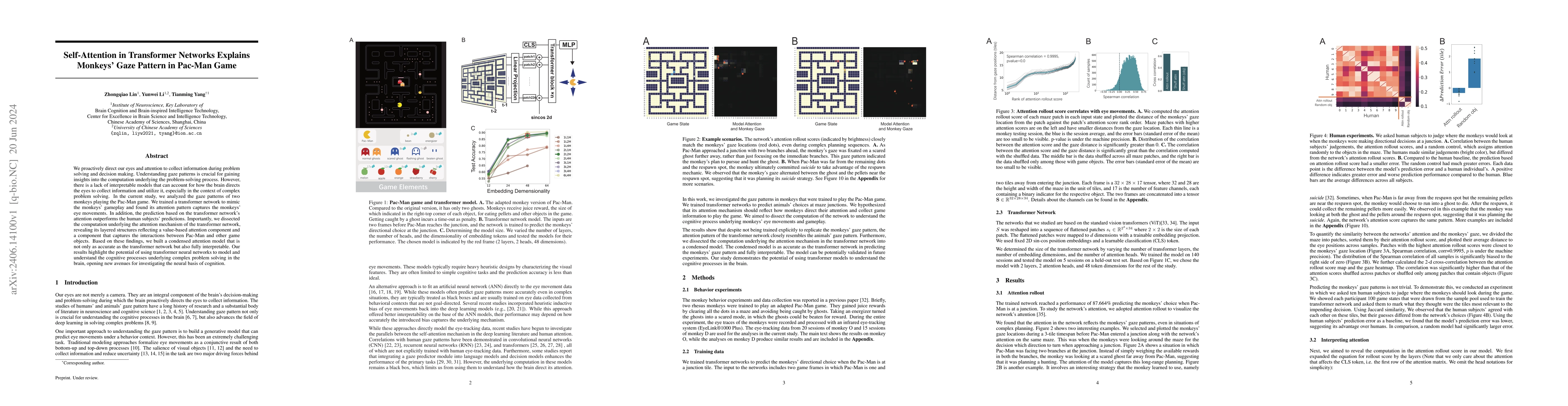 Thumbnail for Self-Attention in Transformer Networks Explains Monkeys' Gaze Pattern in
  Pac-Man Game