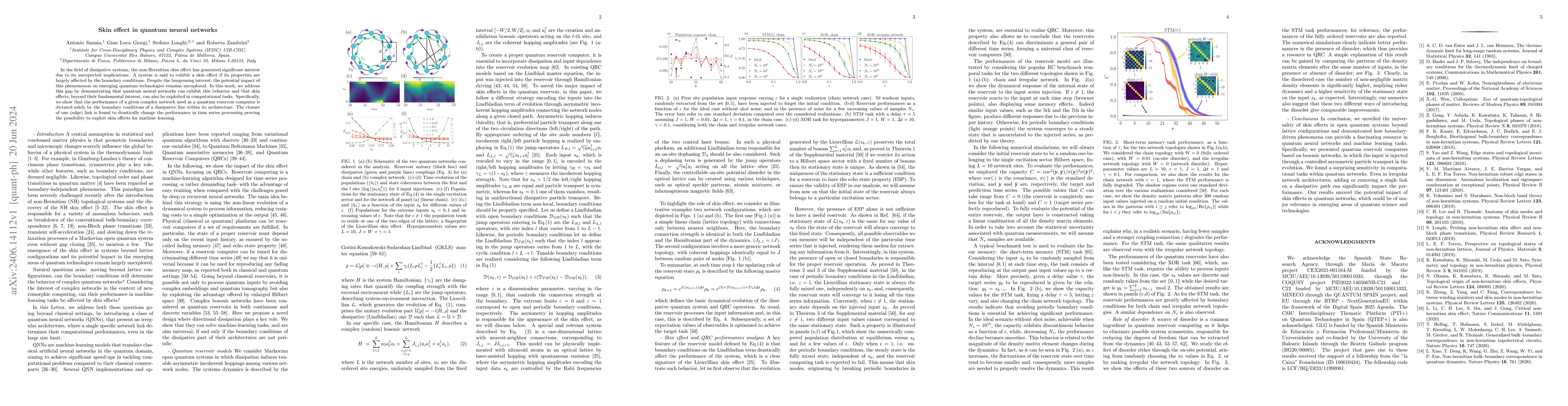 Thumbnail for Skin effect in quantum neural networks