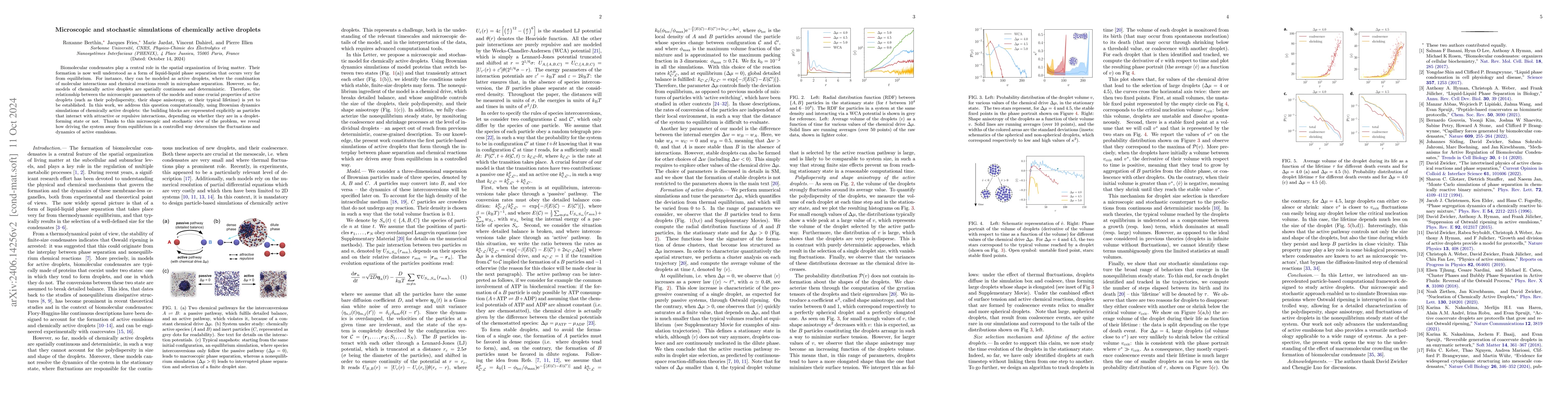 Thumbnail for Microscopic and stochastic simulations of chemically active droplets