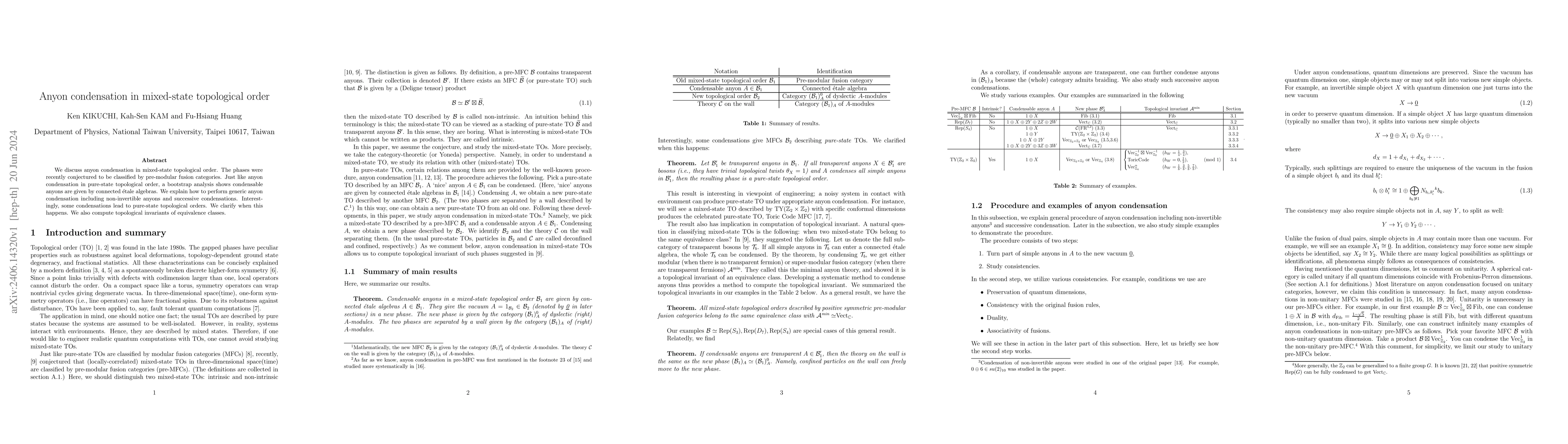 Thumbnail for Anyon condensation in mixed-state topological order